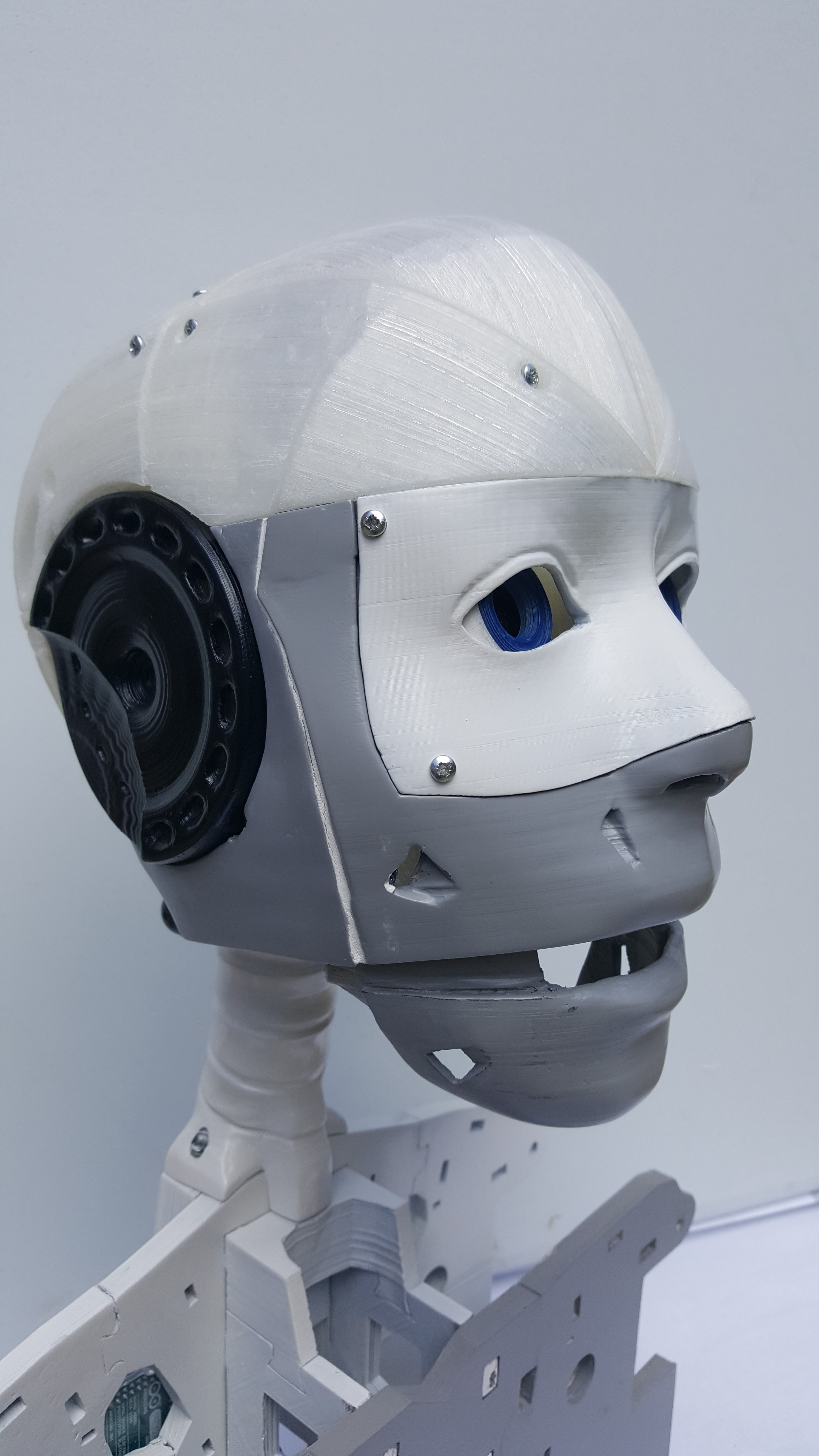 assembled robot head